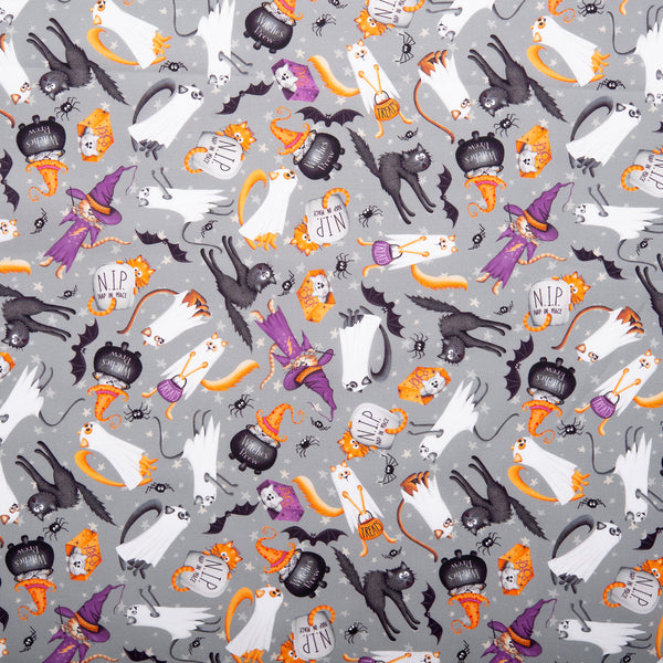 Printed cotton - SCAREDY CATS - Cats - Grey