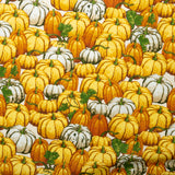 Coton imprimé - FESTIVAL DES RÉCOLTES - Citrouilles - Blanc