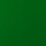 Novelty Polyester Solid - 221 - Green