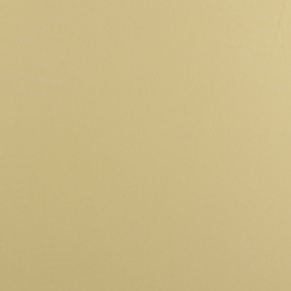 Novelty Polyester Solid - 229 - Beige