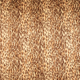 Novelty Polyester Print - 304 - Tan