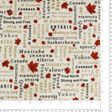 Northcott Printed Cotton - STONE HENGE OH CANADA - 027 - Beige