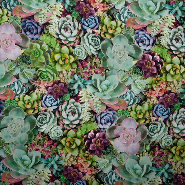 ESSENTIAL Printed Cotton - WINDHAM - Succulent - Green