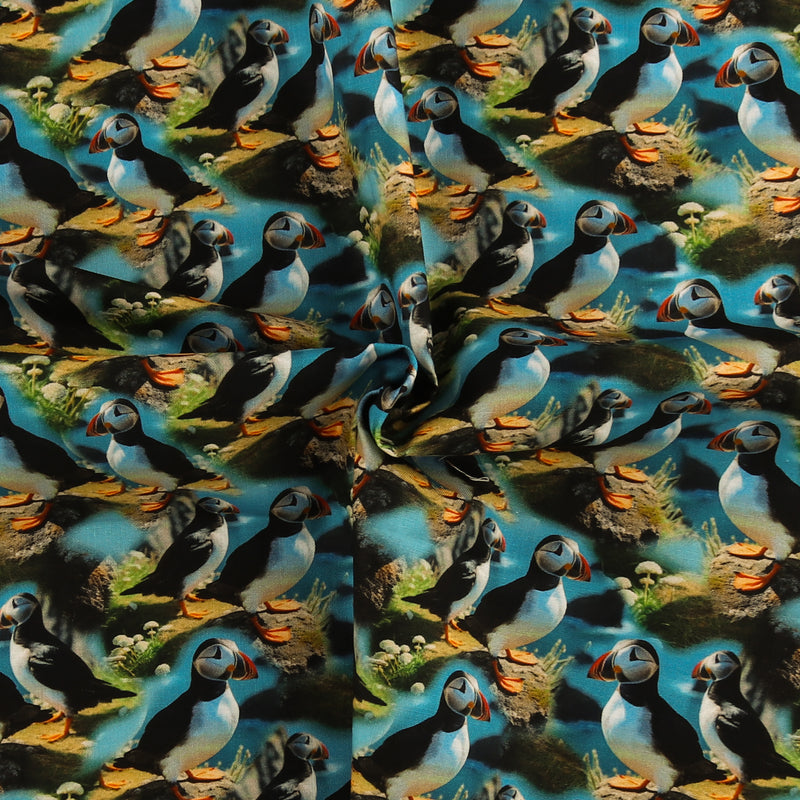 Printed Cotton - MOOK ESSENTIALS - Puffins - Turquoise