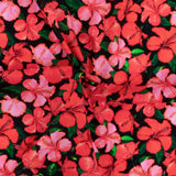 Coton Imprimé -&lt; TROPICAL PARADISE &gt; - 002 - Rouge