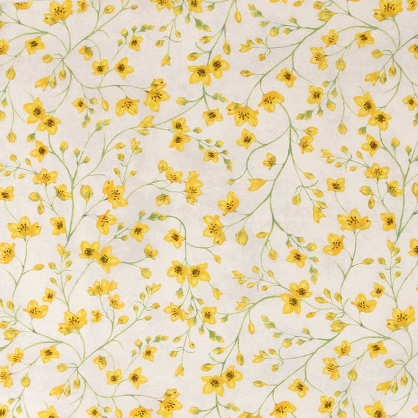 Windham Fabrics - Coton imprimé - &lt;TULIP FIELDS&gt; - 003 - Blanc Cassé