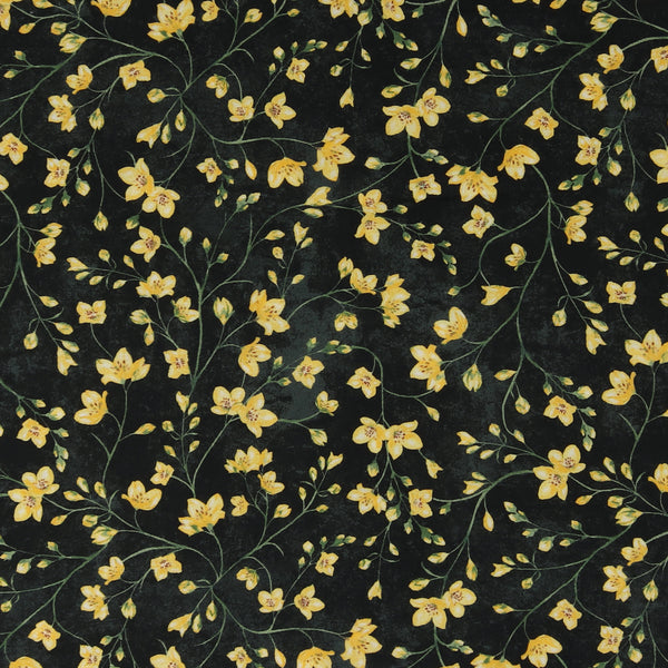 Windham Fabrics - Coton imprimé - &lt;TULIP FIELDS&gt; - 004 - Noir