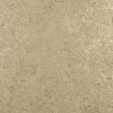 NORTHCOTT ESSENTIALS - Printed Cotton - PLASTER OF PARIS - 002 - Taupe