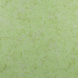 NORTHCOTT ESSENTIALS - Printed Cotton - PLASTER OF PARIS - 012 - Light Green