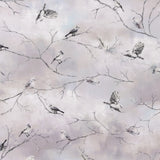 Windham Fabrics - Coton imprimé - WINTER WHISPER - 001 - Gris Pâle