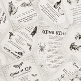 Stashbuster Cotton - NORTHCOTT - 002 - White