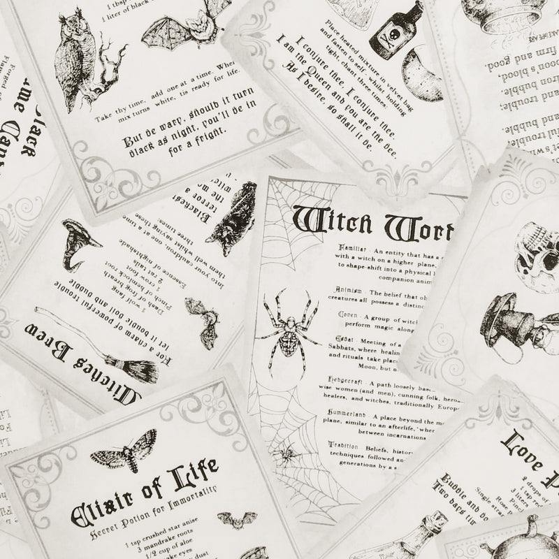 Stashbuster Cotton - NORTHCOTT - 002 - White