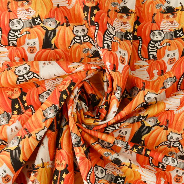 Stashbuster Cotton - NORTHCOTT - 014 - Orange