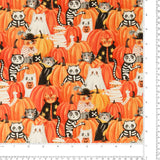 Réserve de coton - <NORTHCOTT> - 014 - Orange