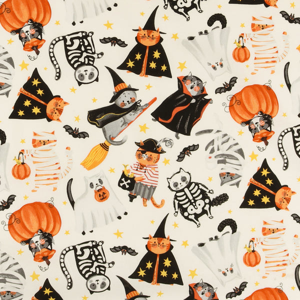 Stashbuster Cotton - NORTHCOTT - 015 - White