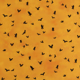 Northcott - Coton imprimé - <NIGHT OWL> - 005 - Orange