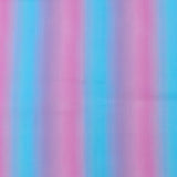 Windham Fabrics - Coton imprimé - <TWIRLING TUTUS> - 007 - Turquoise et Rose