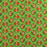 Northcott - Licensed Printed Cotton - RUDOLPH THE RED NOSED REINDEER - 005 - Green