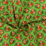 Northcott - Licensed Printed Cotton - RUDOLPH THE RED NOSED REINDEER - 005 - Green