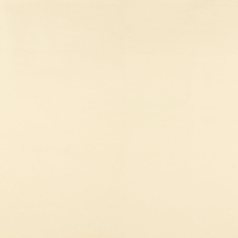 Tricot Jersey à Bouclettes DOUILLET - 009 - Blanc Cassé
