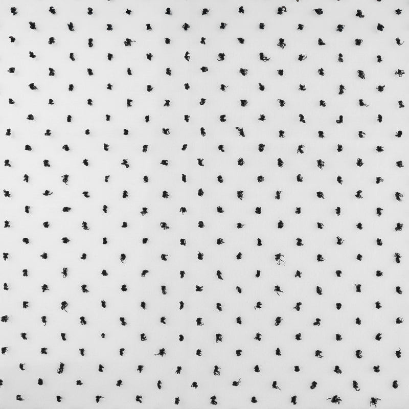 Organza with Embroidered Dot - DOTSY - White & Black