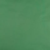 Stretch Cotton Twill - SUSAN - Green