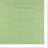 Striped Jacquard Cotton - ARIA - Pistachio