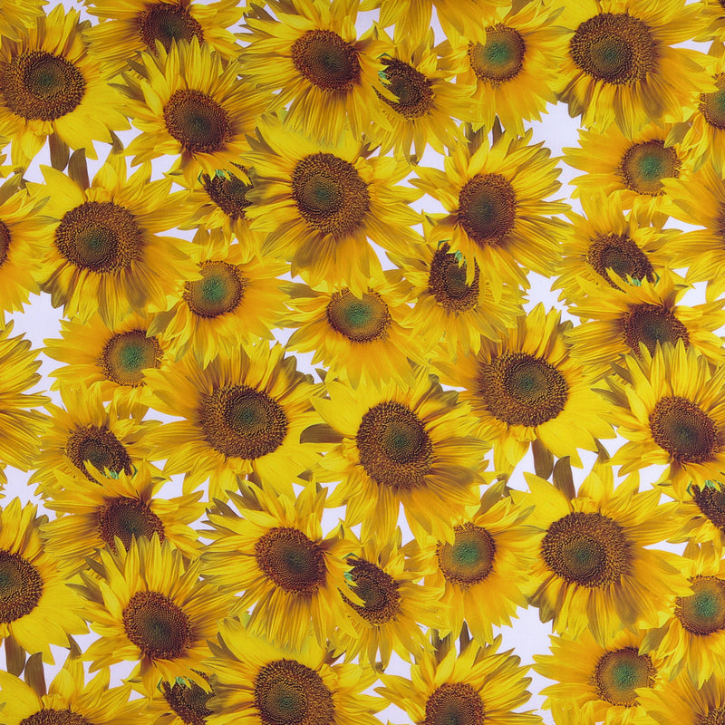 Digital Printed Cotton - FLOWER FIELDS - 003 - Yellow