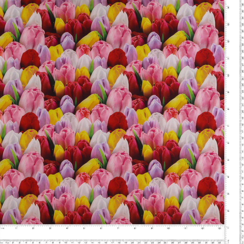 Digital Printed Cotton - FLOWER FIELDS - 004 - Multi