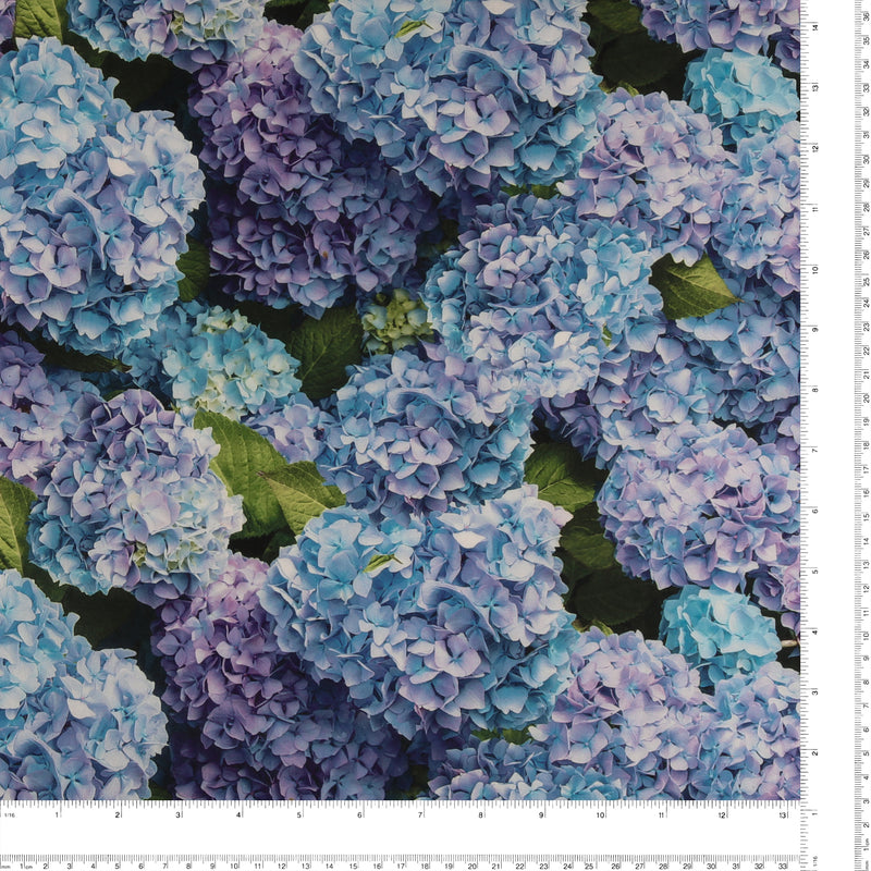 Digital Printed Cotton - FLOWER FIELDS - 005 - Blue