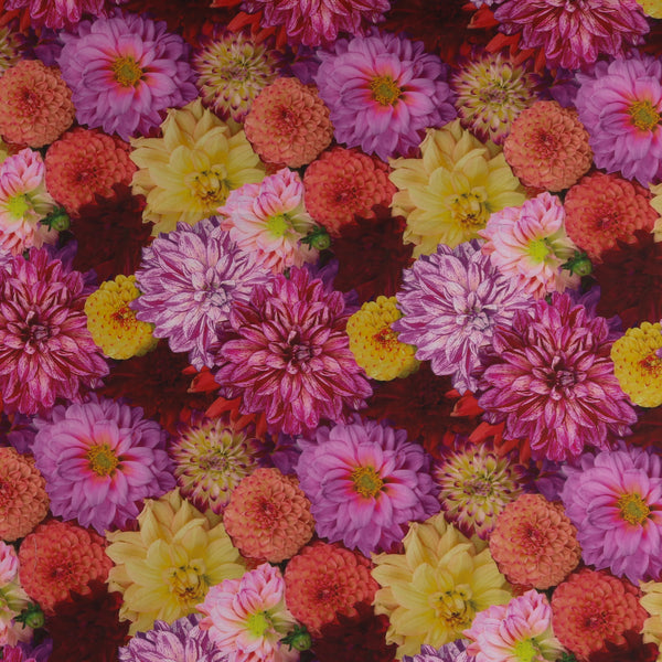Digital Printed Cotton - FLOWER FIELDS - 007 - Fuschia