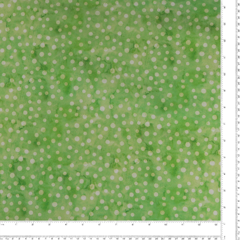 Baby Coordinate - ABC Tonal Dots - Green