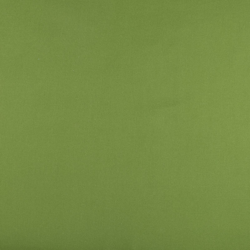 Recycled Rayon Linen - TOBAGO - 010 - Avocado