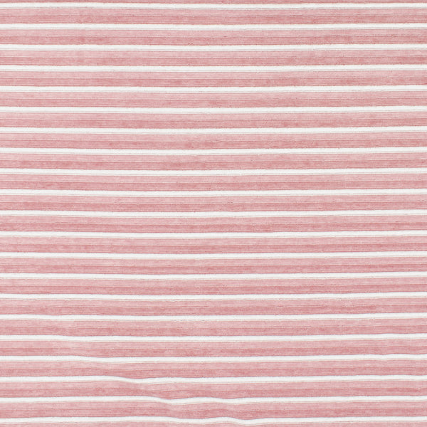 Corduroy Knit - JAMES - 008 - Pink