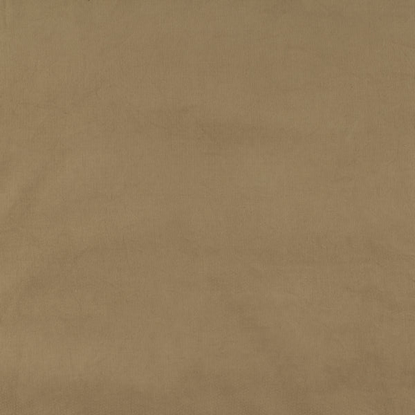 Corduroy - NOMAD - 011 - Taupe