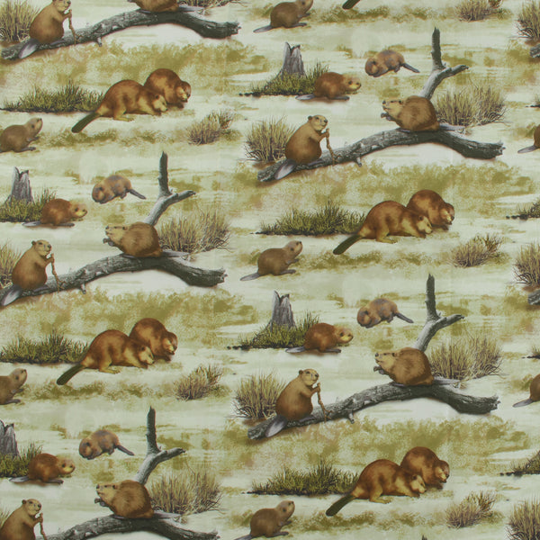 Printed Cotton - GREAT OUTDOORS - 006 - Brown