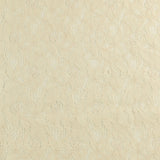 Fashion Lace - RANIA - 013 - Cream