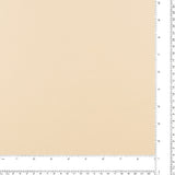 Solid Organza - PROM - 006 - Champaign