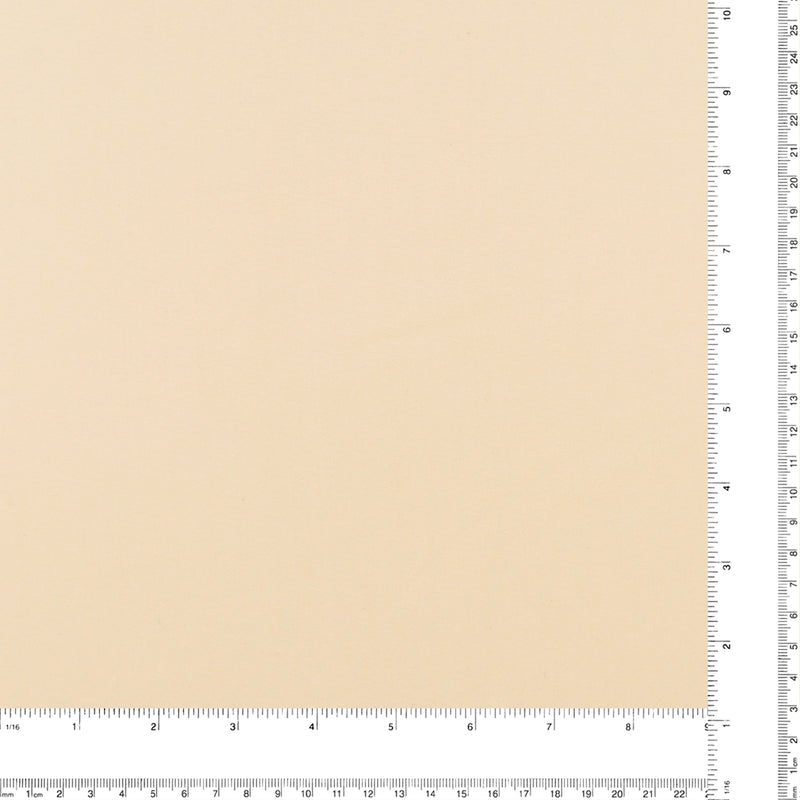 Solid Organza - PROM - 006 - Champaign