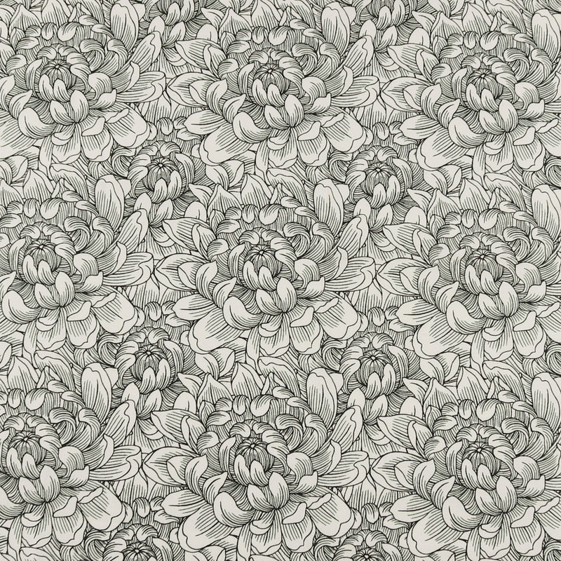 Henry Glass - Printed Cotton - «SCARLET DAYS & NIGHTS» - 008 - Black and Offwhite