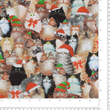 Windham Fabrics - Printed Cotton - MEOWY CHRISTMAS - 004 - Multicolor