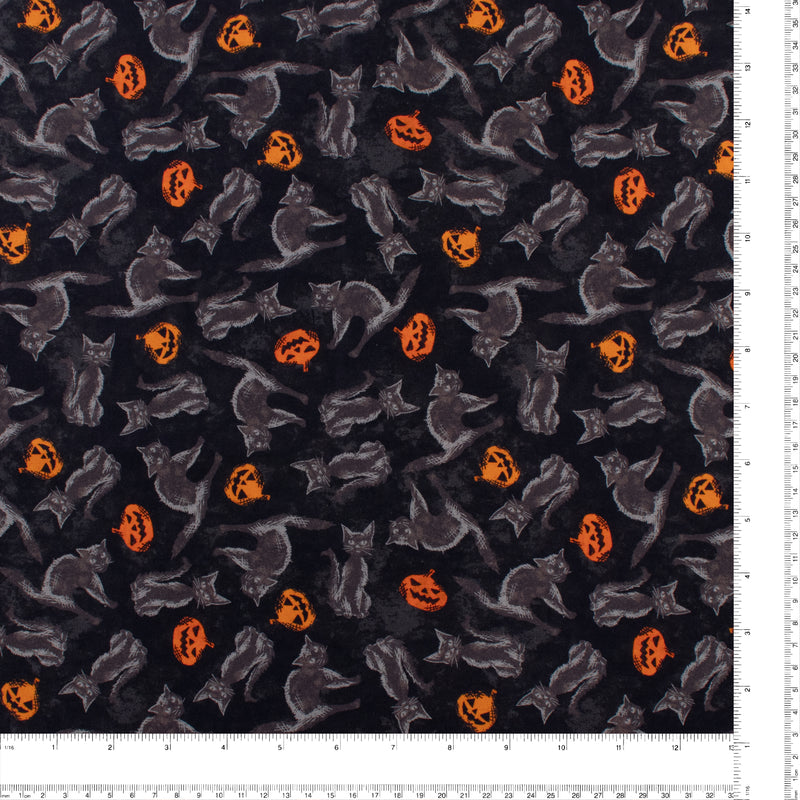 Windham Fabrics - Coton imprimé - &lt;HALLOW&#039;S EVE&gt; - 002 - Noir