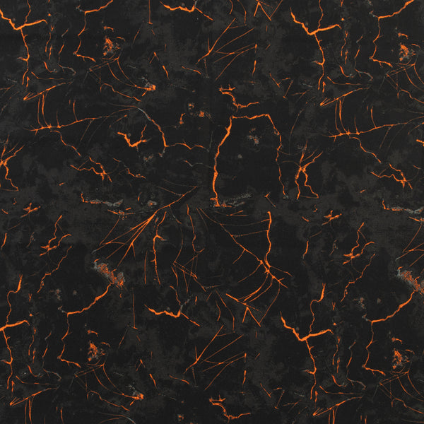 Windham Fabrics - Coton imprimé - &lt;HALLOW&#039;S EVE&gt; - 003 - Noir