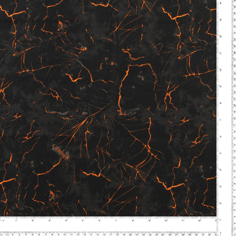 Windham Fabrics - Coton imprimé - &lt;HALLOW&#039;S EVE&gt; - 003 - Noir