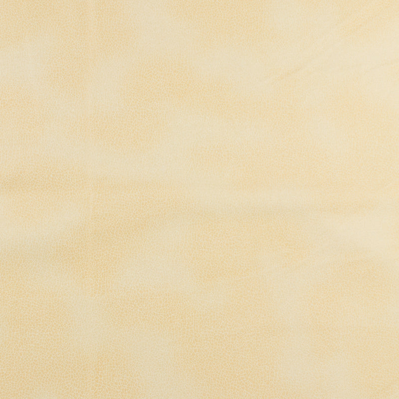 Aspect suède - ACADÉMIE - 005 - Vanille