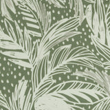 Printed Knit - HAYLEY - 021 - Sage
