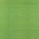Henry Glass - Coton imprimé - <BERRY BESTIES> - 005 - Vert