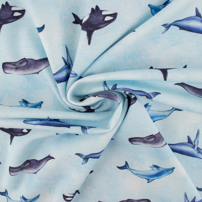Cotton lycra printed knit - IMA-GINE F23 - Sea wildlife - Copen blue