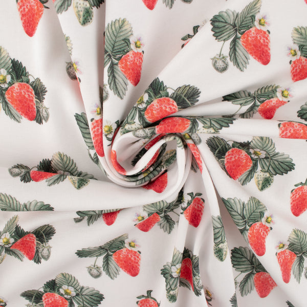 Cotton lycra printed knit - IMA-GINE F23 - Strawberry - White