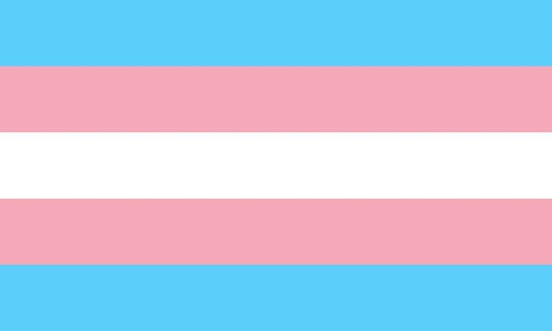 Transgender_Pride_flag.svg Fabric Studio Uploads 1732510276-3253